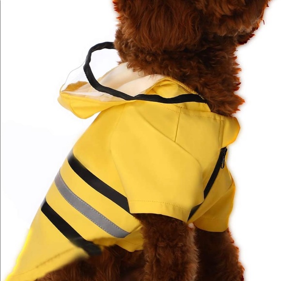 Perfect raincoat for your pup! Size small - Picture 6 of 7